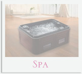 Gamme de spas