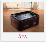 Gamme de spas